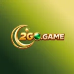 2GO Game logo 2026