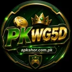 PKWG5D Game APK Download:Fast and Secure Game Application 16 PKWG5D Game app interface with colorful gaming lobby